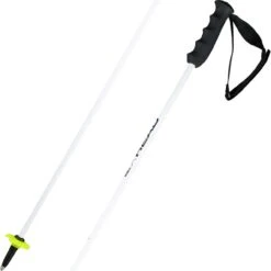 Head Worldcup Rebels Carbon Poles